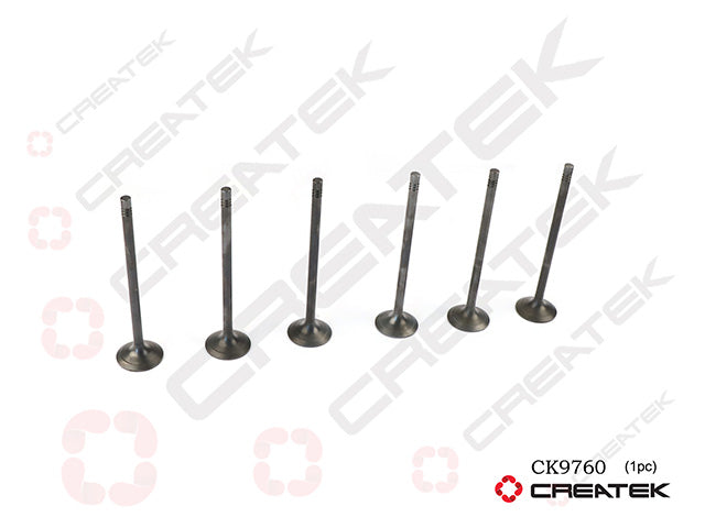 Intake/Exhaust Valve