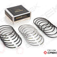 Piston Ring
