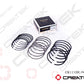 Piston Ring