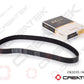 Alternator Belt