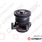 Water Pump Assembly