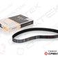 Alternator Belt