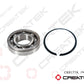 Differential Bearing