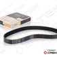 Alternator Belt