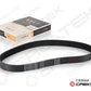 Alternator Belt