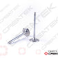Intake/Exhaust Valve