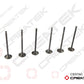 Intake/Exhaust Valve