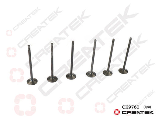 Intake/Exhaust Valve